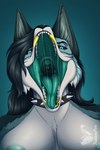 black_hair black_sclera blue_eyes bodily_fluids breasts collar collar_only drooling fangs female fluffy fur hair mouth_shot nude open_mouth saliva saliva_on_tongue saliva_string solo teeth throat tongue tongue_out uvula judasyfox canid canine mammal taur hi_res