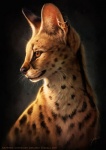 amber_eyes ambiguous_gender black_body black_fur black_nose detailed_ear ear_piercing feral fur helix_piercing inner_ear_fluff looking_away markings piercing realistic simple_background solo spots spotted_body spotted_fur text tuft whiskers yellow_body yellow_fur johis felid feline mammal serval 2015 bust_portrait detailed english_text portrait signature watermark