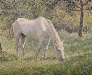 balls detailed_background eating feral forest fur genitals grass grazing hooves male male_feral mane outside plant quadruped shadow side_view snout solo standing tail tree white_body white_fur georges_buysse public_domain equid equine horse mammal ancient_art full-length_portrait hi_res painting_(artwork) portrait shaded signature soft_shading traditional_media_(artwork) traditional_painting_(artwork)