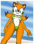 adolescent anthro beach bikini bikini_bottom bikini_top blue_eyes breasts clothed clothing female fur hair looking_at_viewer low-angle_view navel orange_body outside sand seaside sky smile solo standing swimwear thick_thighs two-piece_swimsuit under_boob water wide_hips worm's-eye_view young young_anthro young_female sonicguru sega sonic_the_hedgehog_(series) marine_the_raccoon mammal procyonid raccoon digital_media_(artwork) hi_res