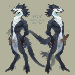 4_fingers 4_toes animal_genitalia anthro balls black_body black_fur claws countershading digitigrade erection feet fingers fully_sheathed fur genitals glistening glistening_genitalia green_eyes hair knot knotted_penis licking licking_lips male muscular nails pawpads penis pubes sergal_penis sheath smile tail tail_tuft teeth text toes tongue tongue_out tuft white_body white_fur chemicallyroadkill lav_(roadkill) sergal 1:1 2024 digital_media_(artwork) english_text hi_res model_sheet