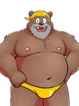 anthro beard belly big_belly black_nose brown_body bulge clothing facial_hair humanoid_hands kemono male mature_male moobs navel nipples overweight overweight_male simple_background solo underwear white_background bullbluedog bear mammal 2022 3:4 hi_res