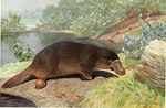 1911 20th_century 5_toes ambiguous_gender ancient_art beak brown_body brown_fur claws detailed_background feet feral fur hi_res karl_ludwig_hartig mammal monotreme nude outside plant platypus quadruped signature solo text toe_claws toes traditional_media_(artwork) water