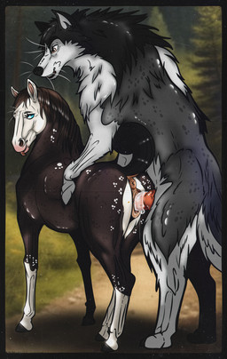 animal_genitalia animal_penis animal_vulva anus blue_eyes bodily_fluids brown_eyes canine_genitalia canine_penis cum cum_inside dark_body dark_fur duo ejaculation equine_anus equine_genitalia equine_vulva erection female female_penetrated feral feral_on_feral feral_penetrated feral_penetrating feral_penetrating_feral forest fur genital_fluids genitals grey_body grey_fur grin interspecies knot knotted_penis male male/female male_penetrating male_penetrating_female mane markings penetration penile penile_penetration penis plant puffy_anus sex smile spots spotted_markings tail tree vaginal vaginal_fluids vaginal_penetration vulva white_body white_fur 0l-fox-l0 canid canine canis domestic_dog equid equine horse husky mammal nordic_sled_dog spitz absurd_res hi_res