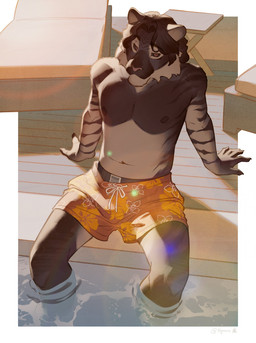 afternoon anthro black_body black_fur black_hair clothing fur hair long_hair male orange_clothing partially_submerged sitting solo stripes sun_lounger swimming_in_underwear swimming_pool swimming_trunks swimwear underwear underwear_under_swimwear water itymnro noirscastle felid mammal pantherine tiger hi_res