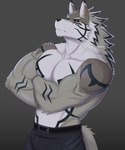 abs anthro bottomwear brown_body brown_fur clothing crossed_arms dark_sclera ear_piercing ear_ring fur green_eyes male mane muscular muscular_male pants pecs piercing ring_piercing shirtless solo white_body white_fur pinpinavine lifewonders tokyo_afterschool_summoners seth_(tas) canid canine canis jackal mammal 5:6 absurd_res hi_res