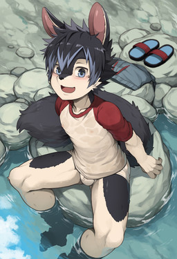 anthro black_body black_fur black_hair blush briefs bulge clothed clothing fur hair kemono male multicolored_body multicolored_fur rock shirt sitting solo tail topless topwear underwear underwear_only water white_body white_fur young young_anthro young_male daikung canid canine mammal 2025 absurd_res hi_res