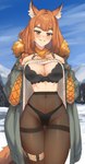 bangs big_breasts blush bra braided_hair breasts clothed clothing clothing_lift female hair legwear panties pantyhose ring smile solo underwear radioneet arknights hypergryph studio_montagne ratatos_browntail_(arknights) animal_humanoid canid canid_humanoid canine canine_humanoid fox_humanoid humanoid mammal mammal_humanoid 2023 absurd_res hi_res