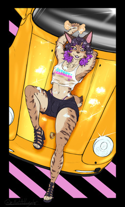 anthro bottomwear bulge car clothing detailed_bulge femboy makeup male shorts solo vehicle imnotanalligator porsche drex_the_lynx felid feline iberian_lynx lynx mammal hi_res