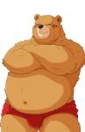 anthro belly brown_body brown_fur bulge clothed clothing crossed_arms front_view fur male navel overweight overweight_anthro overweight_male simple_background skimpy solo standing topless underwear white_background kumadasi kumaura721 sdorica dagger_(sdorica_sunset) bear mammal 2018 hi_res