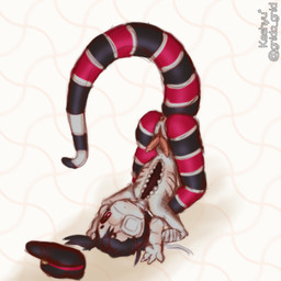 2_penises anthro anus bandage belly_mouth black_hair clothing eye_patch eyewear feet genitals hair hat headgear headwear lying male multi_genitalia multi_penis nude organs penis red_eyes simple_background slit_penis solo stripes tail teeth gnida_gnid coral_snake elapid_(snake) reptile scalie snake 1:1 hi_res