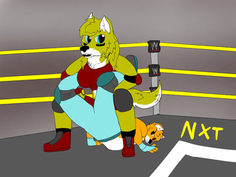 anthro duo female fight fighting_ring jiu-jitsu male nxt walls_of_jericho wrestling wrestling_outfit brutus_airsoft wwe sarah_marcotte canid canine canis domestic_dog fox mammal shiba_inu spitz 4:3 hi_res