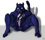 anthro autofellatio balls black_body black_fur bodily_fluids butt caught_in_the_act caught_masturbating claws cum cum_in_mouth cum_in_own_mouth cum_in_self cum_inside cum_on_chest cum_on_self cum_on_tongue cum_string cumshot ejaculation erection fur genital_fluids genitals glans holding_both_legs humanoid_genitalia humanoid_penis looking_at_viewer male masturbation melanistic nude open_mouth oral oral_masturbation orgasm penile penile_masturbation penis pink_glans pink_penis pink_tongue plantigrade shadow simple_background solo surprise tongue tongue_out white_background wide_eyed yellow_eyes nanogrrr nintendo star_fox panther_caroso felid feline mammal pantherine 2006 digital_media_(artwork) full-length_portrait low_res portrait signature unavailable_at_source