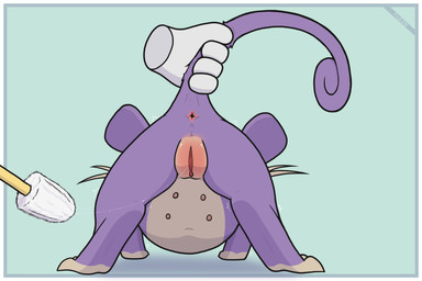 abuse anus bodily_fluids butt clitoris countershading disembodied_hand duo female feral fur genital_fluids genital_torture genitals multi_nipple nipples nude pain pregnant pregnant_female pregnant_feral purple_body purple_fur pussy_torture rear_view reddened_pussy tail tail_grab tan_body tan_countershading tan_fur teats toilet_brush torture vaginal_fluid_string vaginal_fluids vulva whiskers fuzzo nintendo pokemon generation_1_pokemon pokemon_(species) rattata 2024 3:2 absurd_res hi_res