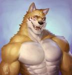 2018 abs absurd_res anthro biceps canid canine digital_media_(artwork) hi_res male mammal muscular muscular_anthro muscular_male pecs raytig12 solo