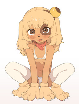 accessory anthro bell_accessory bikini biped black_markings black_nose blush blush_lines brown_eyes claws clothed clothing collar crouching cute_fangs eye_patch_(marking) facial_markings fangs female flat_chested footwear front_view gloves hair hair_accessory handwear head_markings legwear looking_at_viewer markings navel patch_(marking) simple_background sitting solo stockings swimwear tan_body tan_hair teeth thigh_highs toe_claws tongue tongue_out triangle_bikini two-piece_swimsuit white_background white_bikini white_clothing white_legwear white_stockings white_swimwear young young_anthro young_female possummachine ankama dofus lilotte canid mammal ouginak 2025 absurd_res hi_res