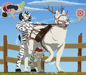 anal anal_orgasm anal_penetration animal_genitalia animal_penis anthro anthro_on_feral anthro_penetrating anthro_penetrating_feral antlers anus bestiality bodily_fluids bridle canine_genitalia canine_penis cum cum_in_ass cum_inside cum_on_ground cum_while_penetrated cumshot doggystyle dominant dominant_anthro dominant_male duo ejaculation equine_genitalia equine_penis erection female feral feral_penetrated from_behind_position genital_fluids genitals gynomorph gynomorph/male gynomorph_penetrated halter hands-free hooves horn intersex intersex/male intersex_penetrated knot knotted_penis larger_feral larger_male larger_penetrated looking_pleasured male male_anthro male_feral male_penetrating male_penetrating_gynomorph male_penetrating_intersex mount mount/rider_relations orgasm penetration penile penile_penetration penis penis_in_ass raised_tail reins saddle sex simultaneous_orgasms size_difference smaller_anthro smaller_male stripes submissive submissive_female submissive_feral submissive_male tack tail tail_tuft tuft wrong_hole conditional_dnp zelkothezeeb ky-li zelko canid canine canis domestic_dog equid equine felkin hybrid mammal nordic_sled_dog samoyed spitz zebra digital_media_(artwork) pixel_(artwork)