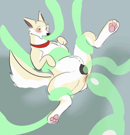 4_toes all_three_filled anal anal_penetration animal_genitalia animal_vulva blush canine_genitalia canine_vulva collar double_penetration egg egg_in_ass egg_insertion feet female female_penetrated feral genitals hindpaw multiple_penetration oral oral_penetration ovipositor ovipositor_in_ass pawpads paws penetration restrained soles solo tentacle_in_ass tentacle_in_mouth tentacle_in_vagina tentacle_ovipositor tentacle_penetration tentacles toes triple_penetration vaginal vaginal_penetration vulva squaresville naatalya_(lykaan) canid canine canis domestic_dog husky mammal nordic_sled_dog spitz 2d_animation animated