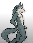 animal_genitalia animal_penis anthro canine_genitalia canine_penis claws eye_scar facial_scar fur genitals grey_body grey_fur grey_tail holding_own_sheath holding_sheath male nipples notched_ear nude penis penis_tip scar sheath side_view simple_background solo standing tail clyde_wolf beastars legoshi_(beastars) canid canine canis mammal wolf 3:4 hi_res