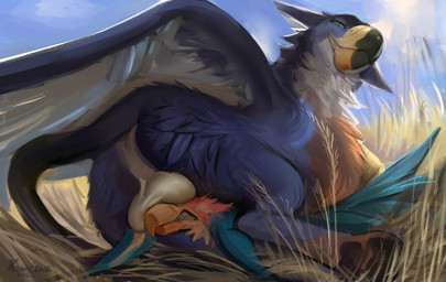 balls balls_on_face beak digitigrade duo feral feral_on_feral field genitals larger_feral larger_male male male/male multicolored_body pawpads quadruped size_difference tail these_aren't_my_glasses wings kodacine mythology maplegryph torvid avian gryphon mythological_avian mythological_creature 2025 dated hi_res shaded signature