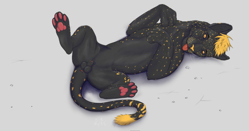 feral genitals lying male on_back paws penis solo spread_legs spreading ryks felid feline leopard mammal pantherine 256:135 4k absurd_res hi_res