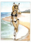 anthro beach bikini black_nose blonde_hair border breasts brown_eyes clothed clothing cloud day detailed_background eyewear eyewear_on_head female front_view gloves_(marking) hair hand_on_head hooves leg_markings looking_at_viewer markings medium_breasts midriff navel on_one_leg open_mouth open_smile outside sand seaside skimpy sky smile smiling_at_viewer socks_(marking) solo standing sunglasses sunglasses_on_head swimwear two-piece_swimsuit unguligrade water megan_giles ninevah deer mammal 2012 dated full-length_portrait mixed_media pen_(artwork) portrait signature traditional_media_(artwork) watercolor_(artwork)