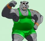 anthro bulge clothing green_background green_clothing green_wrestling_singlet male simple_background solo wrestler wrestling_singlet shiba-kenta daigo_kumano bear mammal 2018 unavailable_at_source