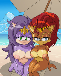 anthro areola beach big_breasts black_nose blue_eyes breasts brown_body brown_fur cheek_tuft crown duo eyelashes facial_tuft female front_view fur genitals green_eyes hair headgear huge_breasts kneeling long_hair looking_at_viewer navel nipples nude pink_areola pink_nipples purple_body purple_fur purple_hair red_hair sea sitting smile tan_body tan_fur thick_thighs thigh_gap tiara tuft vulva water wide_hips mobian_monster archie_comics sega sonic_the_hedgehog_(archie) sonic_the_hedgehog_(comics) sonic_the_hedgehog_(series) sonic_underground alicia_acorn queen_aleena_hedgehog chipmunk eulipotyphlan ground_squirrel hedgehog mammal rodent sciurid absurd_res hi_res