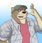 2012 anthro bear brown_body brown_fur clothing fur hat headgear headwear hi_res humanoid_hands kemono male mammal one_eye_closed overweight overweight_anthro overweight_male shirt simple_background solo topwear wdh3905 wink