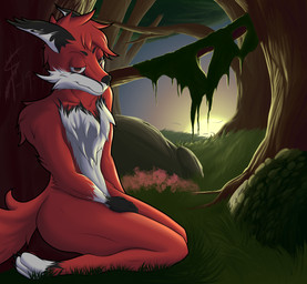 anthro forest fur kneeling male plant red_body red_fur sitting solo sunset tree scaliepunk canid canine fox mammal 2019 absurd_res hi_res