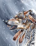 accessory ambiguous_gender brown_body brown_fur fangs feather_in_hair feathers feral fur grey_body grey_fur hair hair_accessory open_mouth realistic snarling snow snowing solo teeth white_body white_fur yellow_eyes heather_bruton canid canine canis mammal wolf 2025