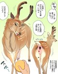 2_horns antlers buriburiri2 cervine cracker deer disembodied_hand duo eyelashes eyes_closed fawn_spots feces feeding feral food front_view hi_res horn japanese_text male male_pooping mammal multiple_angles pooping rear_view scut_tail shika-senbei short_tail sika_deer solo_focus speech_bubble tail tail_anus talking_to_viewer text translated