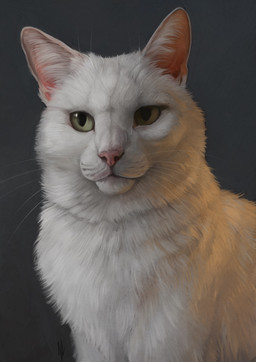 ambiguous_gender feral fur green_eyes grey_background inner_ear_fluff lacrimal_caruncle pink_inner_ear pink_nose realistic_feral simple_background solo tuft whiskers white_body white_fur white_inner_ear_fluff white_whiskers jay_labelle domestic_cat felid feline felis mammal digital_media_(artwork) digital_painting_(artwork) hi_res painting_(artwork) shaded