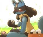 ambiguous_gender anthro blush food fur grass looking_at_viewer onigiri pawpads pink_pawpads plant red_eyes rice smile solo spikes text chigiri nintendo pokemon canid canine generation_4_pokemon lucario mammal pokemon_(species) digital_media_(artwork) hi_res