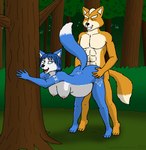 2020 abs against_natural_surface against_surface against_tree ambiguous_penetration anthro anthro_on_anthro anthro_penetrated anthro_penetrating anthro_penetrating_anthro barefoot bent_over blue_body blue_fur blue_hair breasts butt canid canine canon_couple digital_media_(artwork) duo emperorstarscream feet female female_penetrated forest fox fox_mccloud from_behind_position fur hair hand_on_butt intraspecies krystal_(star_fox) looking_at_another looking_at_partner looking_back looking_back_at_another looking_back_at_partner looking_pleasured male male/female male_penetrating male_penetrating_female mammal multicolored_body multicolored_fur muscular muscular_male nature nintendo nipples nude orange_body orange_fur outside outside_sex pecs penetration penile penile_penetration plant pregnant pregnant_sex sex standing standing_sex star_fox tree two_tone_body two_tone_fur white_body white_fur