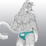 anthro biped black_nose butt clothed clothing grey_background looking_at_viewer male muscular muscular_anthro muscular_male simple_background solo speedo standing swimwear topless whiskers kemo_nuko domestic_cat felid feline felis mammal 1:1 colored