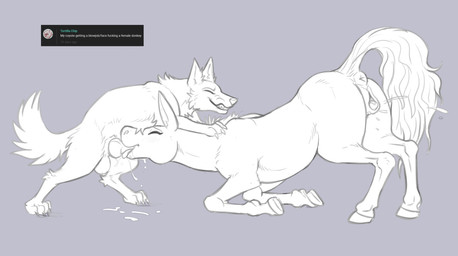 animal_genitalia animal_penis animal_vulva anus blush bodily_fluids butt canine_genitalia canine_penis claws clitoral_winking clitoris digitigrade duo ejaculation equine_anus equine_genitalia equine_vulva erection eyes_closed female female_penetrated feral feral_on_feral feral_penetrated feral_penetrating feral_penetrating_feral genital_fluids genitals grin hooves knot male male/female male_penetrating male_penetrating_female paws penetration penis penis_in_mouth puffy_anus quadruped raised_tail sex smile tail tail_anus toe_claws vaginal_fluids vaginal_squirting vulva digitoxici asinus canid canine canis coyote donkey equid equine mammal 2026 digital_media_(artwork) hi_res line_art monochrome