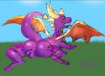 anus backsack balls blush feral genitals horn male pink_anus presenting presenting_anus purple_body purple_skin quadruped solo tail tongue tongue_out wings gaygoat activision mythology spyro_the_dragon spyro dragon mythological_creature mythological_scalie scalie