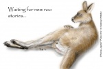 female feral fingering fingering_self fur genitals masturbation pussy realistic realistic_feral solo tail vaginal vaginal_masturbation foxia kangaroo macropod mammal marsupial 2012