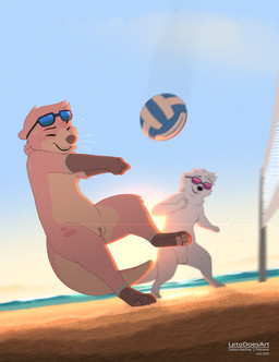 animal_genitalia anthro ball balls beach beach_volleyball biped black_nose bodily_fluids canine_genitalia casual_nudity detailed_background duo eyebrows eyes_closed eyewear eyewear_on_head eyewear_only female fur genitals lens_flare male net nude nude_anthro nude_beach nude_female nude_male pawpads pink_body pink_fur sheath smile sport sun sunglasses sunglasses_on_head sunglasses_only sunset sweat tail teeth volleyball volleyball_(ball) volleyball_net vulva water wearing_sunglasses white_body white_fur white_tail letodoesart pebble_(letodoesart) skye_(skyeott) mammal mustelid otter 2025 hi_res