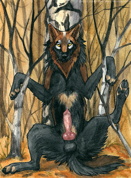 animal_genitalia animal_penis balls black_balls black_body black_claws black_fur black_nose black_pawpads black_tail brown_body brown_fur brown_tail canine_genitalia canine_penis claws digitigrade erection feral finger_claws front_view fur genitals knot knotted_penis male mouth_closed neck_tuft outside pawpads penis plant red_penis sheath solo spread_legs spreading stuck tail toe_claws tree tuft yellow_eyes heatherwolf salm_(naantam) canid canine mammal