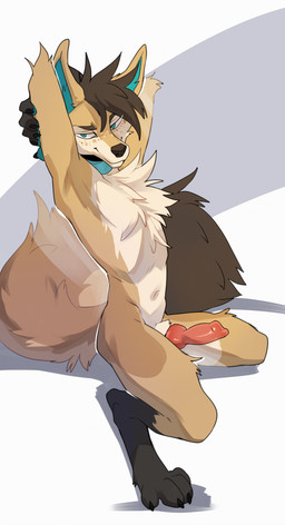 animal_genitalia animal_penis anthro biped canine_genitalia canine_penis countershade_torso countershading erection feet fingers fur genitals hair knot looking_at_viewer male navel nude nude_anthro nude_male penis simple_background smile solo tail toes drmax fletchel canid canine fox mammal 2025 absurd_res digital_drawing_(artwork) digital_media_(artwork) hi_res