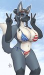 american_flag_bikini anthro areola areola_slip big_breasts bikini blush breasts cleavage clothed clothing eyewear female flag_bikini fur gesture grey_areola grey_body grey_fur hair hair_bun hand_gesture looking_at_viewer navy_fur orange_eyes sky smile solo sunglasses swimwear tail two-piece_swimsuit v_sign fourbythree canid canine mammal maned_wolf digital_media_(artwork) hi_res signature