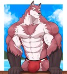 abs anthro biceps big_muscles bulge chest_tuft clothing countershade_torso countershading detailed_bulge fur huge_muscles male muscular muscular_anthro muscular_male nipples pecs red_body red_clothing red_fur red_thong red_underwear sky solo thong tuft underwear vein veiny_muscles wolfblack43 knights_college diederich_olsen canid canine canis mammal wolf hi_res