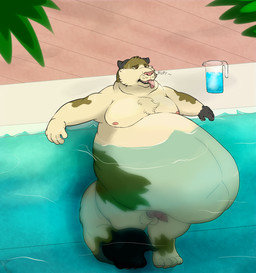 anthro balls belly big_belly genitals male moobs nude obese obese_anthro obese_male overweight overweight_anthro overweight_male penis poolside solo swimming_pool pumex neko_baron canid canine domestic_cat felid feline felis fox hybrid mammal hi_res