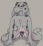 anthro blush body_blush chastity_cage chastity_cage_only chastity_device chastity_device_only collarbone dark_spots fur grey_body grey_fur looking_up male nude pubes scar self-harm_scars sitting skinny solo spots spread_legs spreading tuft wearing_chastity_cage wearing_chastity_device soft_and_wett lucienne_(soft_and_wett) lagomorph leporid mammal rabbit hi_res
