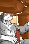 anthro balls bear blush butt canine cum cum_in_mouth cum_inside fellatio gay grizzly_bear juuichi male mammal morenatsu oral oral_sex penis scar sex ten_kodori underwear vodkawolf wolf
Rating: Explicit
Score: 10
User: Pokelova
Date: March 05, 2014