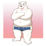 anthro belly big_belly blush chubby_cheeks clothing kemono male navel overweight overweight_male solo underwear yaki_atsuage utau shirane_kan bear mammal polar_bear ursine 1:1 2024 hi_res