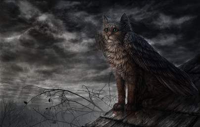 ambiguous_gender day detailed_background feathered_wings feathers feral fur outside paws sitting sky solo wings wolfroad avian chimera felid feline mammal 2015 digital_media_(artwork) hi_res