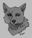 ambiguous_form ambiguous_gender cheek_tuft eye_scar facial_scar facial_tuft front_view looking_at_viewer mouth_closed neck_tuft scar simple_background solo tuft 100racs canid canine canis mammal wolf 2019 hi_res monochrome